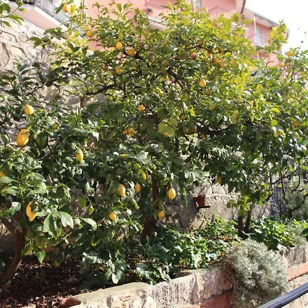 Casa Dei Limoni * Lerici