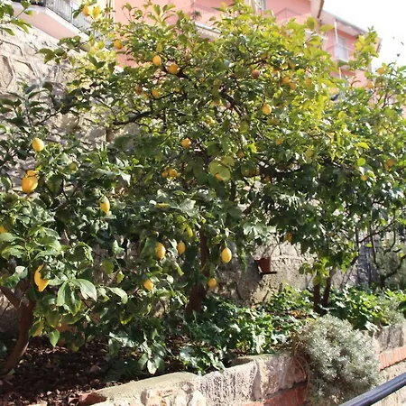 Casa Dei Limoni * Lerici