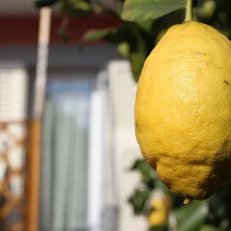 بيت للعطل Casa Dei Limoni